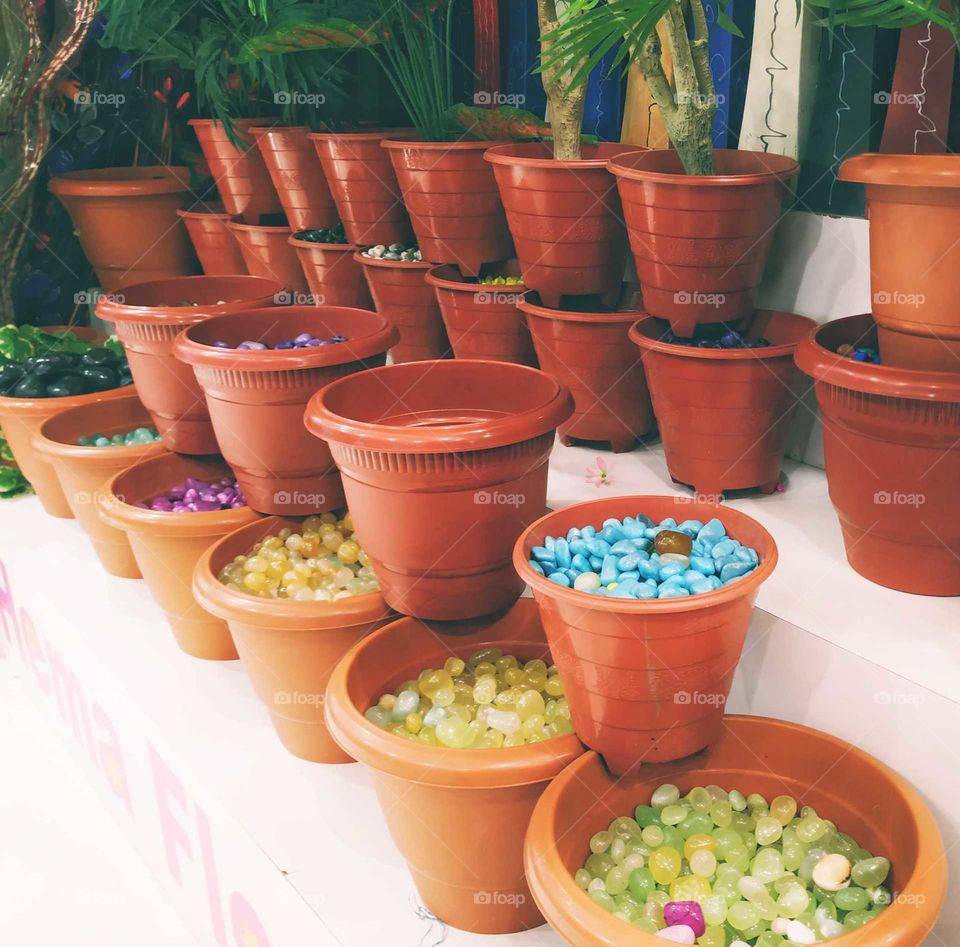 Life is full of flowers and thorns. It's up to you what you choose.