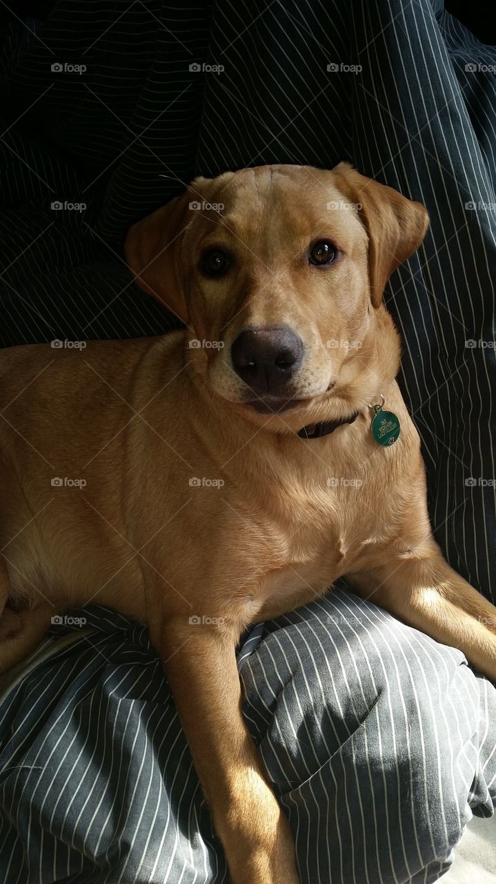 jax is 6 months today