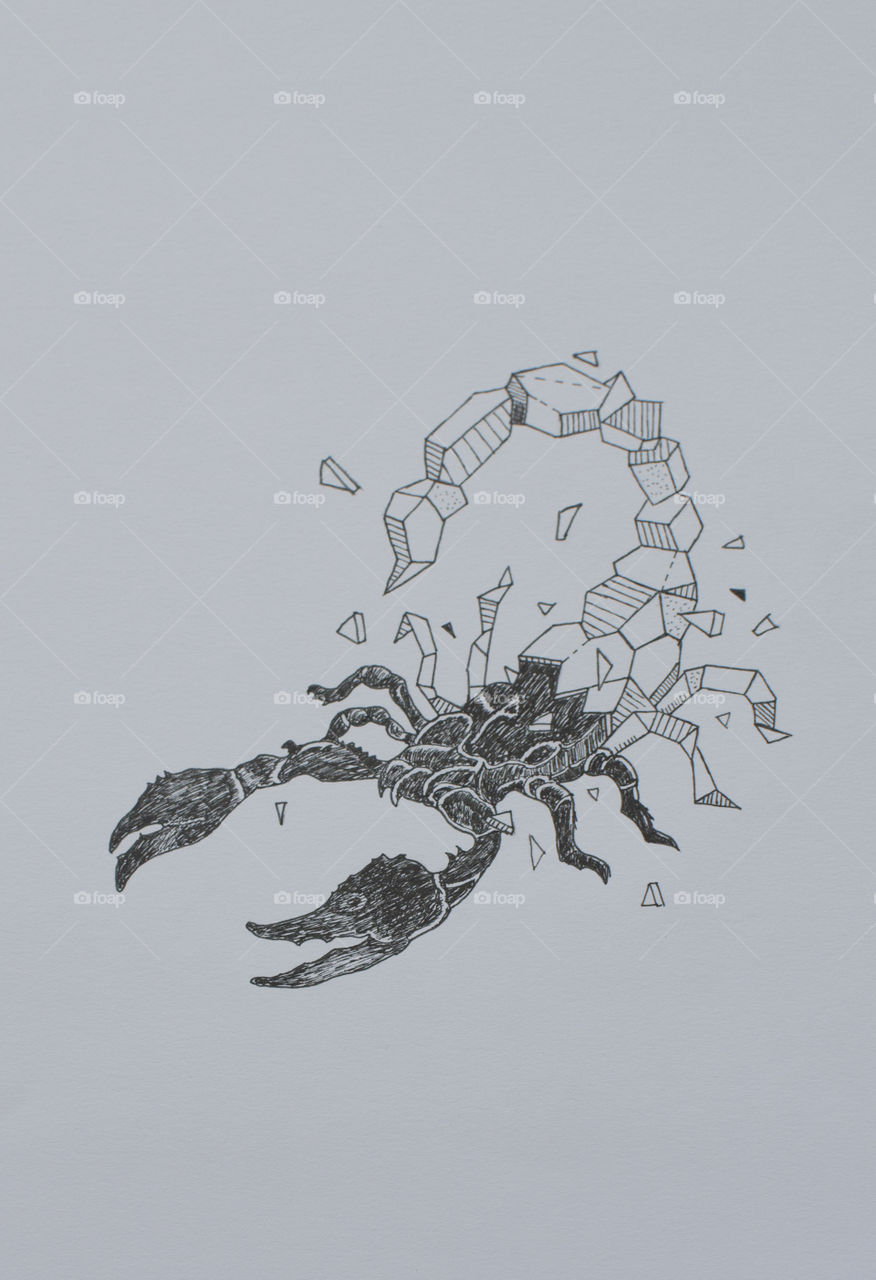 Abstract Scorpion