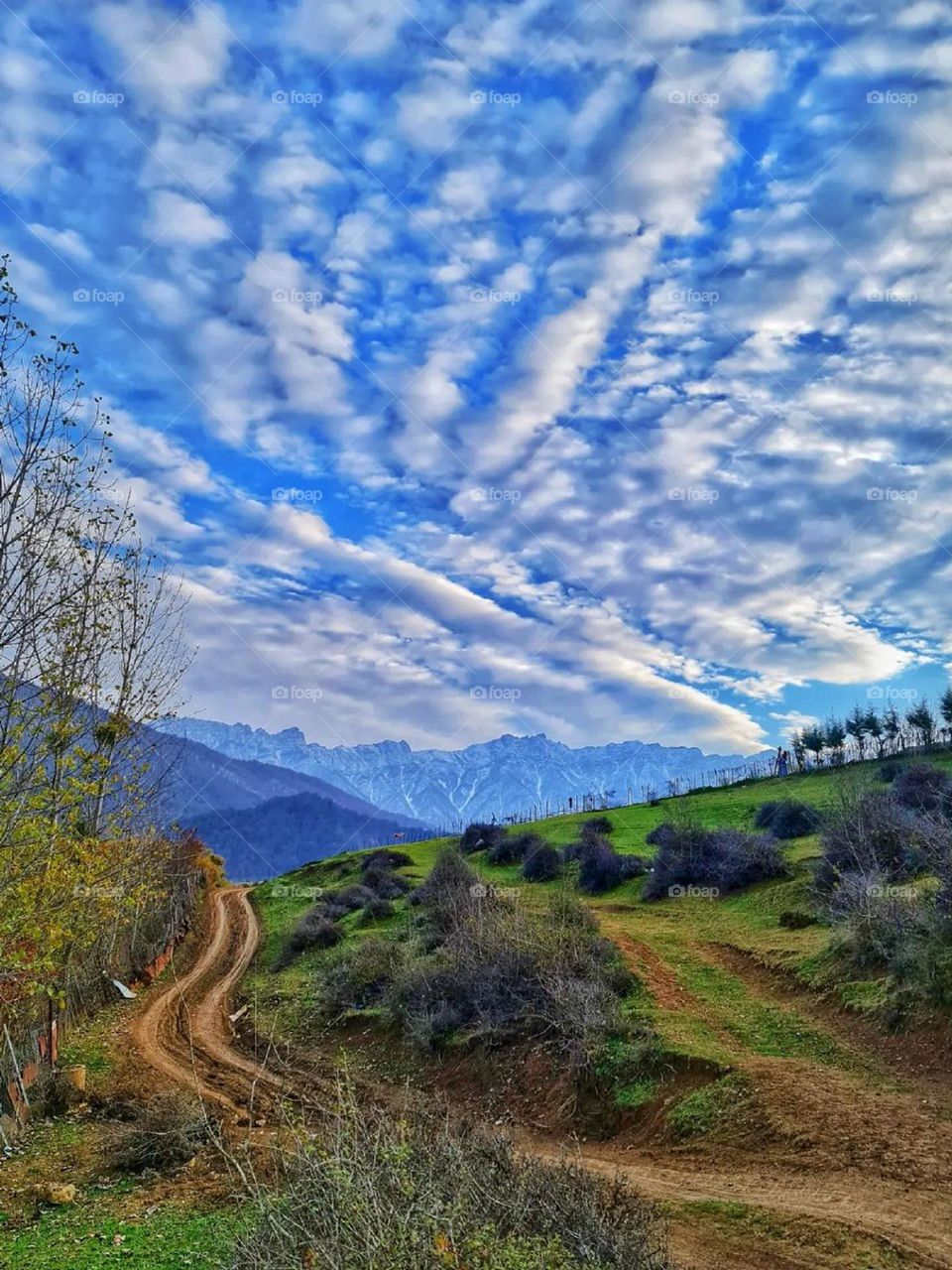 On foot on the beautiful road