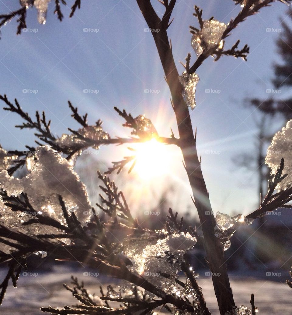 Bright frosty morning