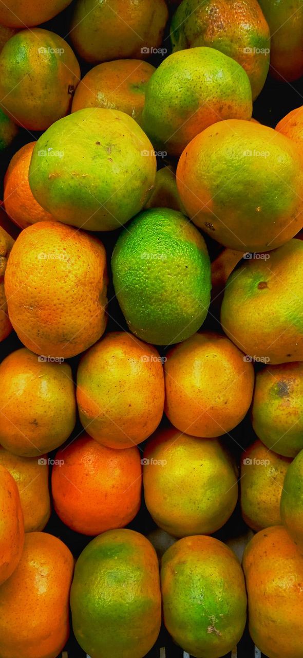 fruits and vegetables 3