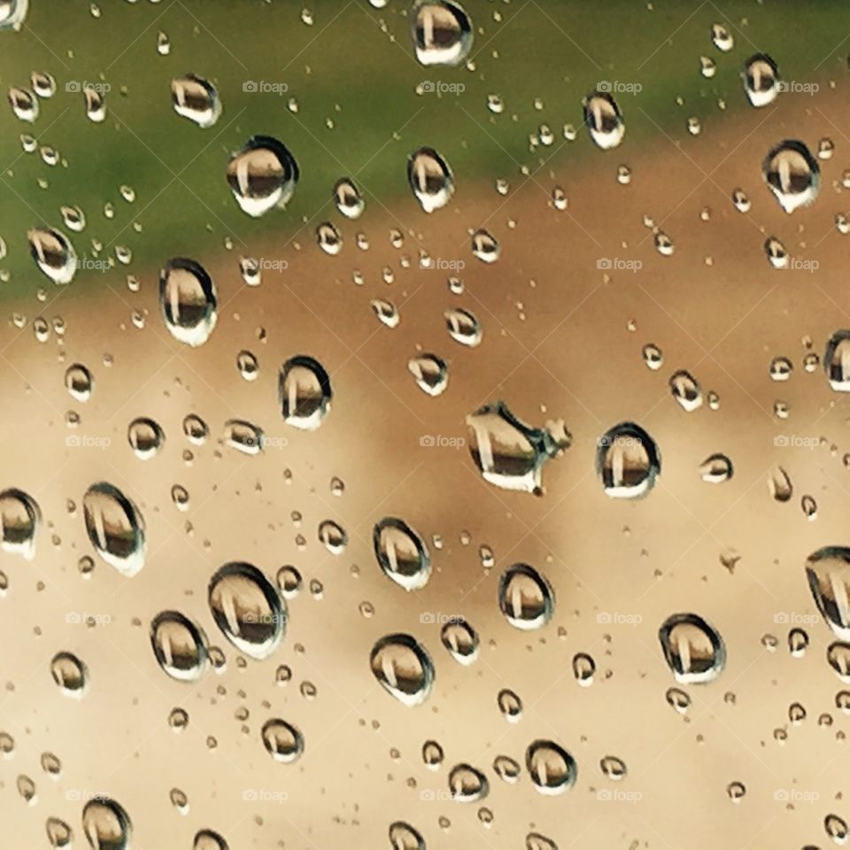 Rain droplets 