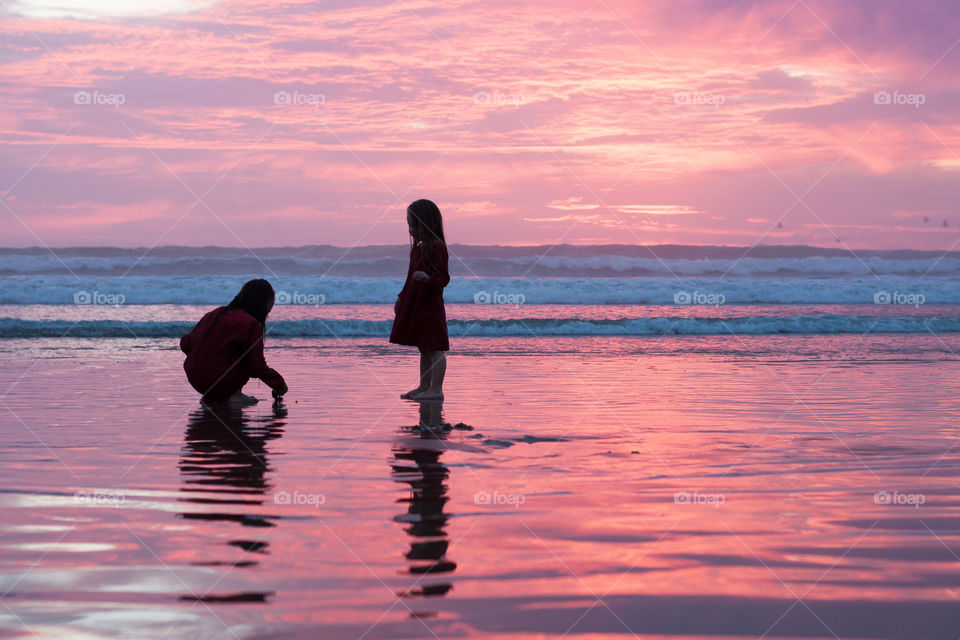 Sunset in the fall . Gorgeous pink sunset with silhouettes 