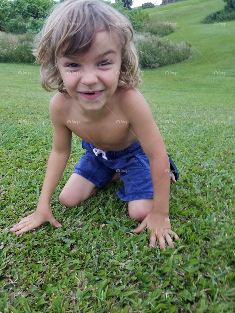 Grass, Child, Nature, Summer, Lawn