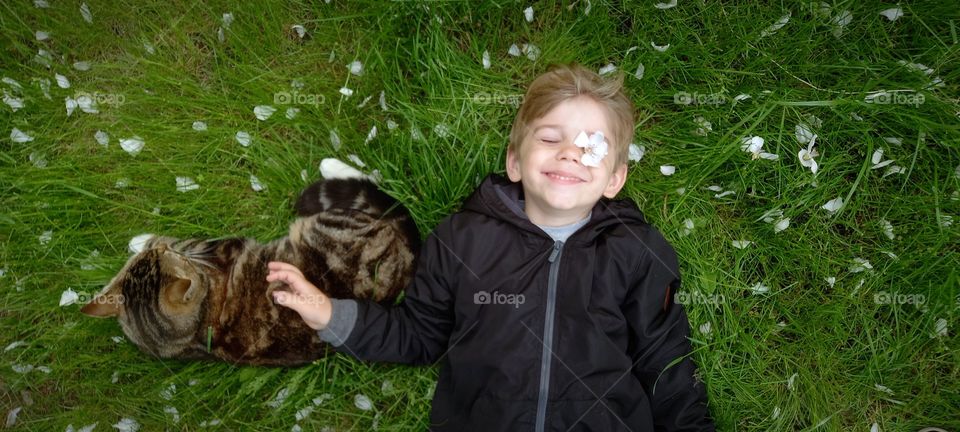 little boy lies on the grass with a cat