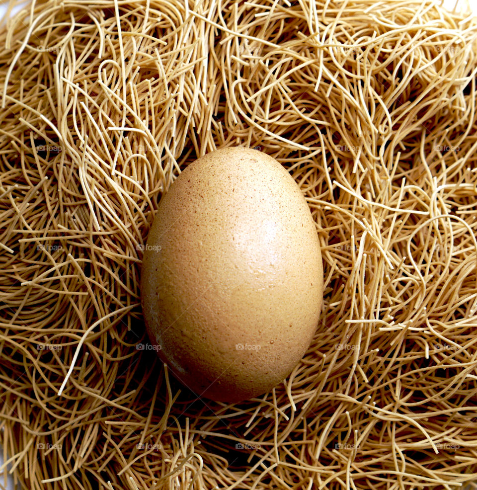 Organic fresh egg closeup on the brown nest noodle Easter holiday growth meaning 