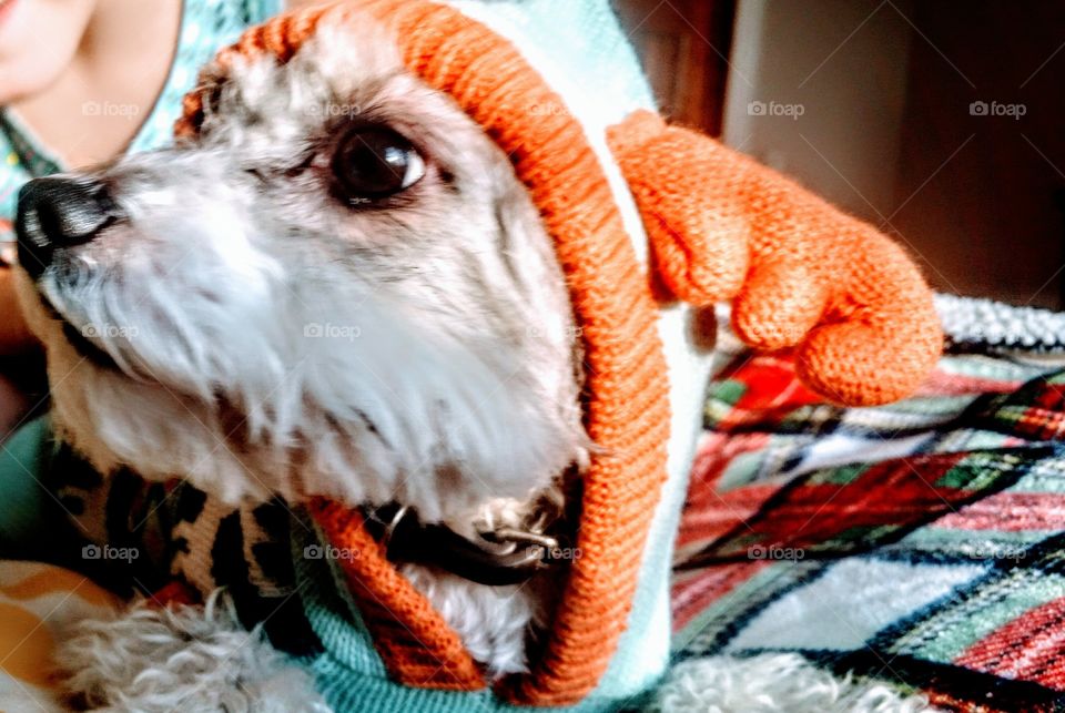 ...because it's never too early to be prepared!