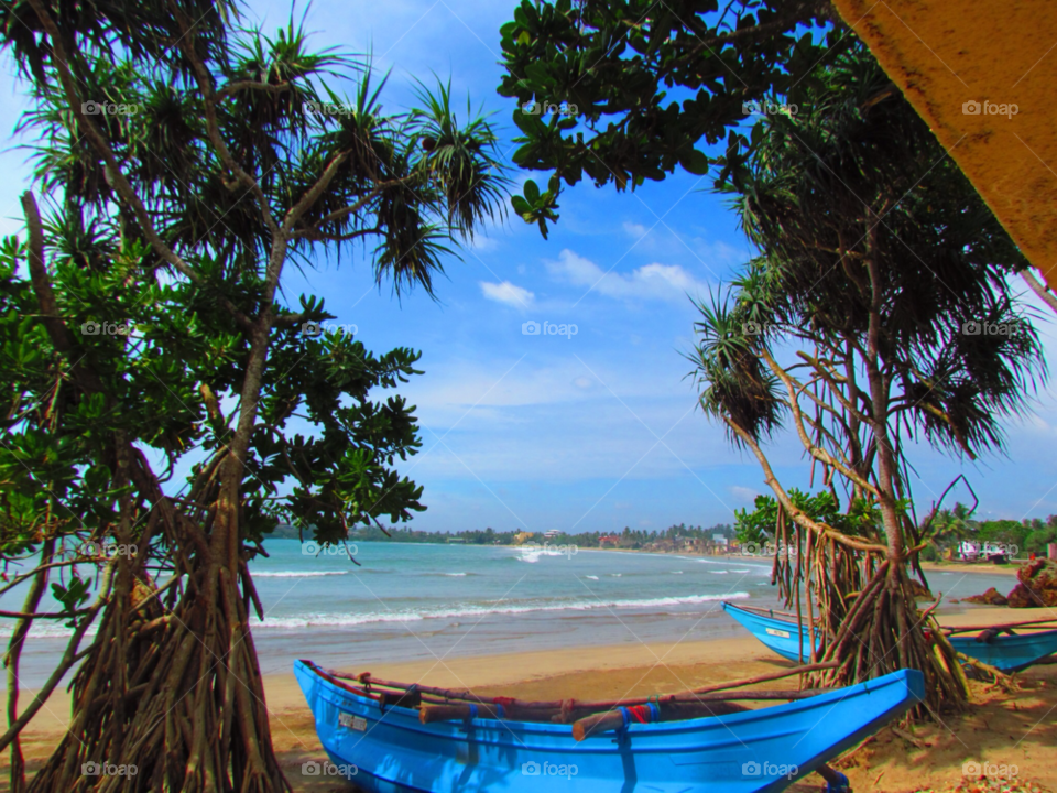 beach ocean hot tree by jadeh