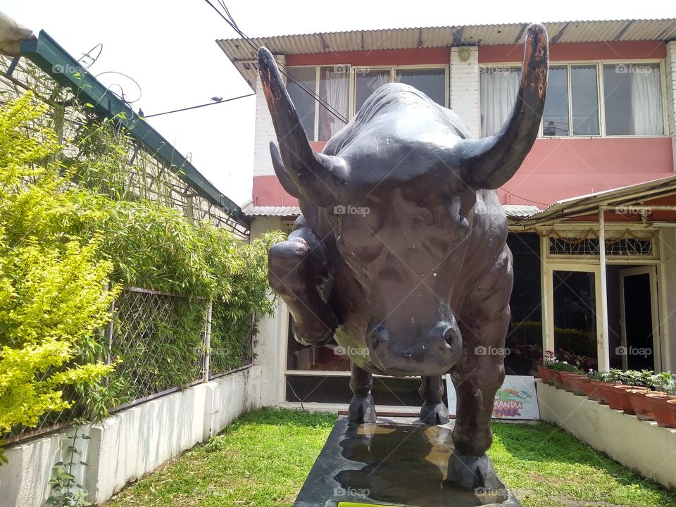 Bull statue