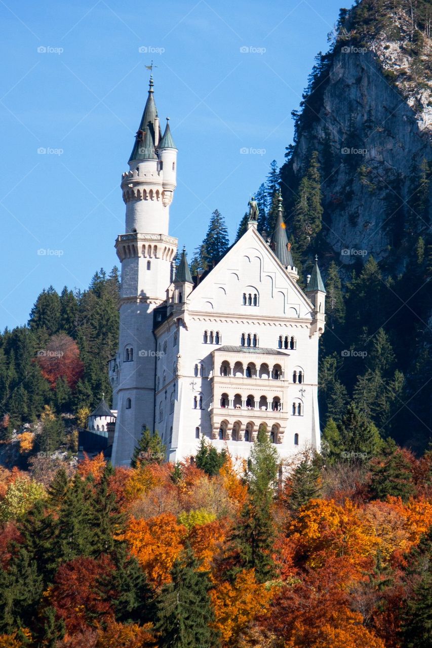 View of a neuschwanstein castle up in the mountains