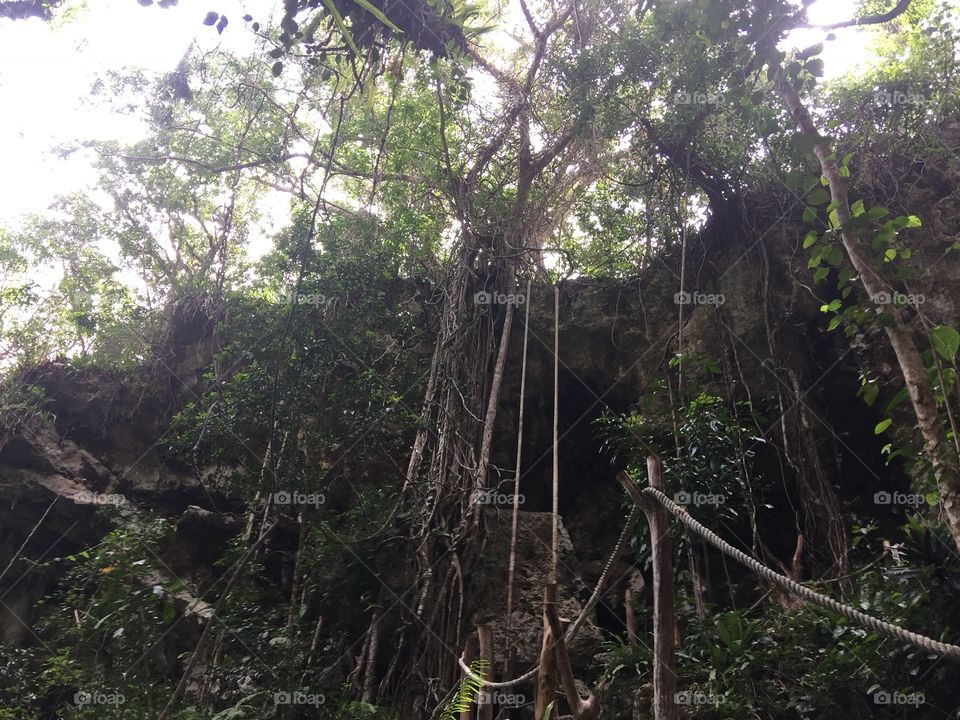 Into the rainforest to find the fresh water cave. Breathtaking and intimidation intwined. 