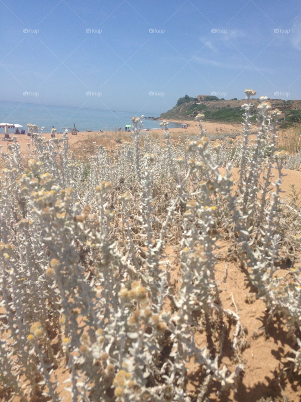 Selinunte Trapani Sicilia