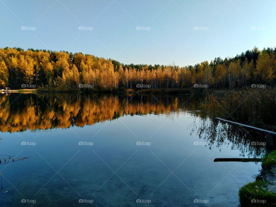 Golden autumn at the sand pit