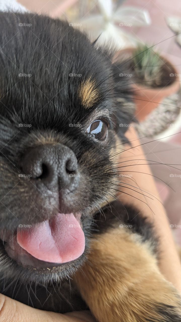 the smile of the one who does not speak