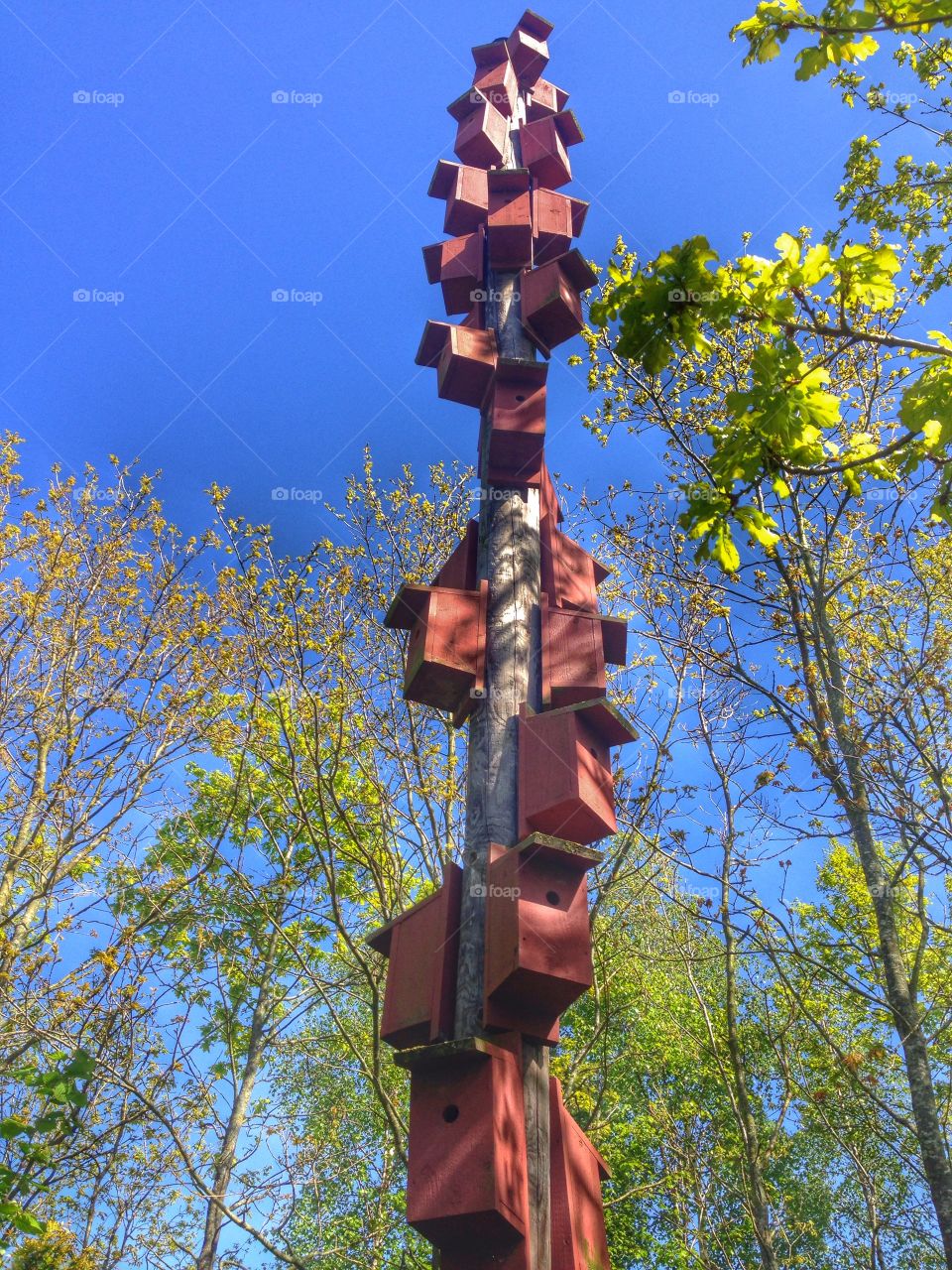 Looking up. Bird houses