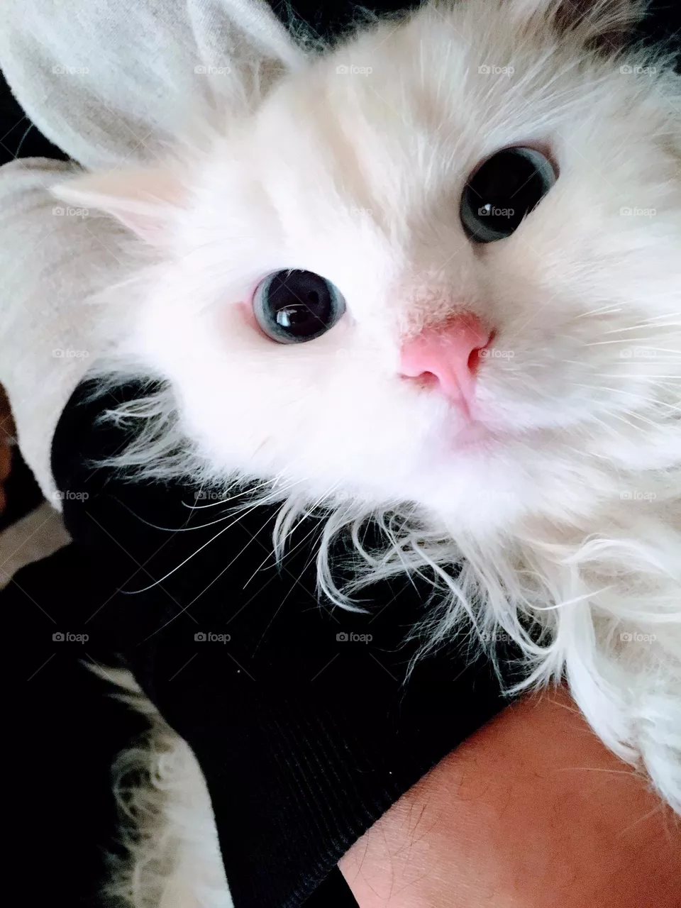 cute