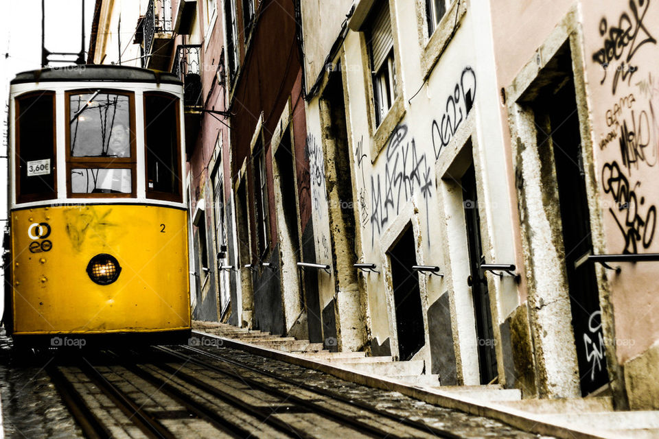 Lisbon Town