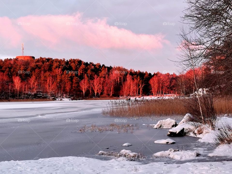 Winter by the lake