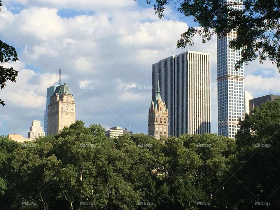 Central Park View 