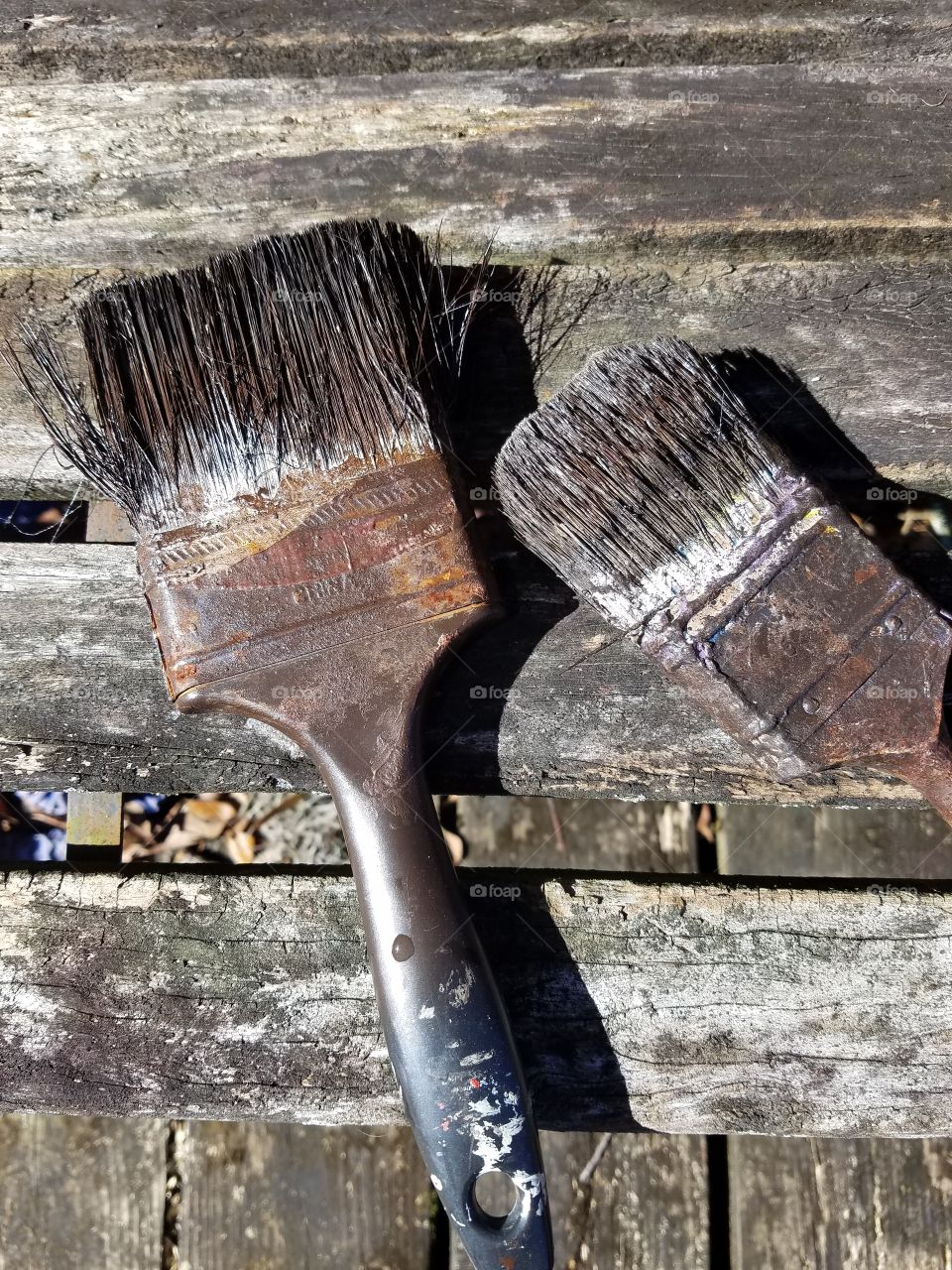 Old Paint Brushes