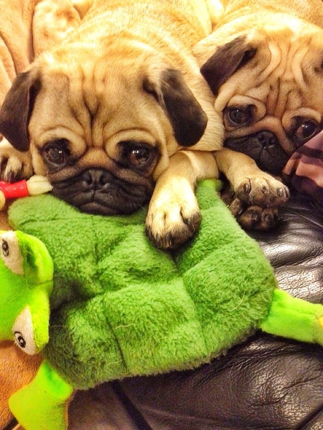 brother sister cuddles