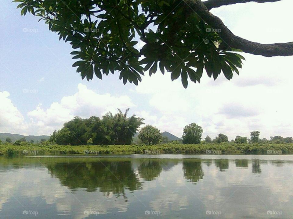 A Perfect reflection near a pond