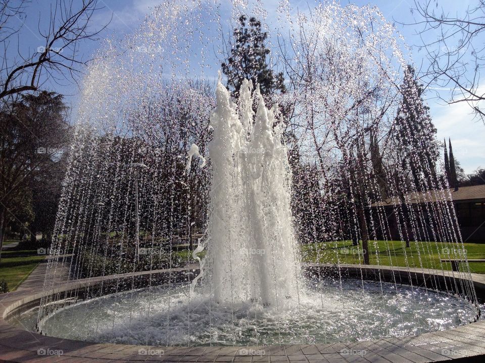 Sparkling Fountain in Springtime