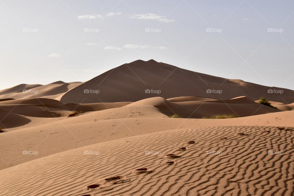 Desert Morocco 