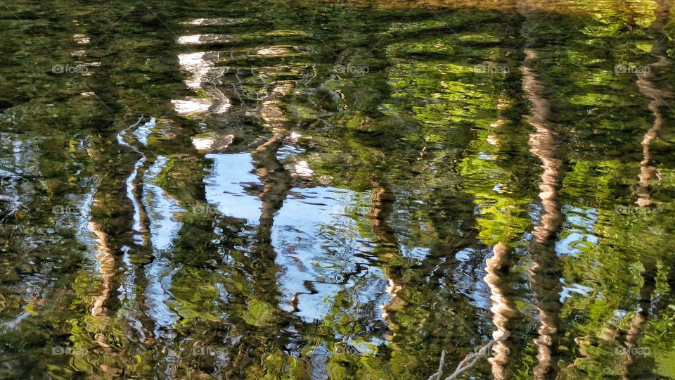 Reflection in South River