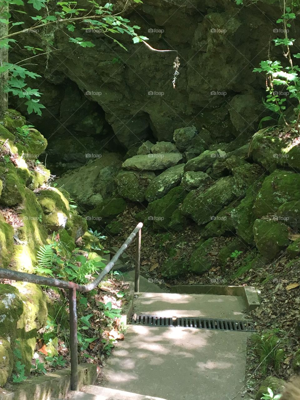 Florida Caverns State Park