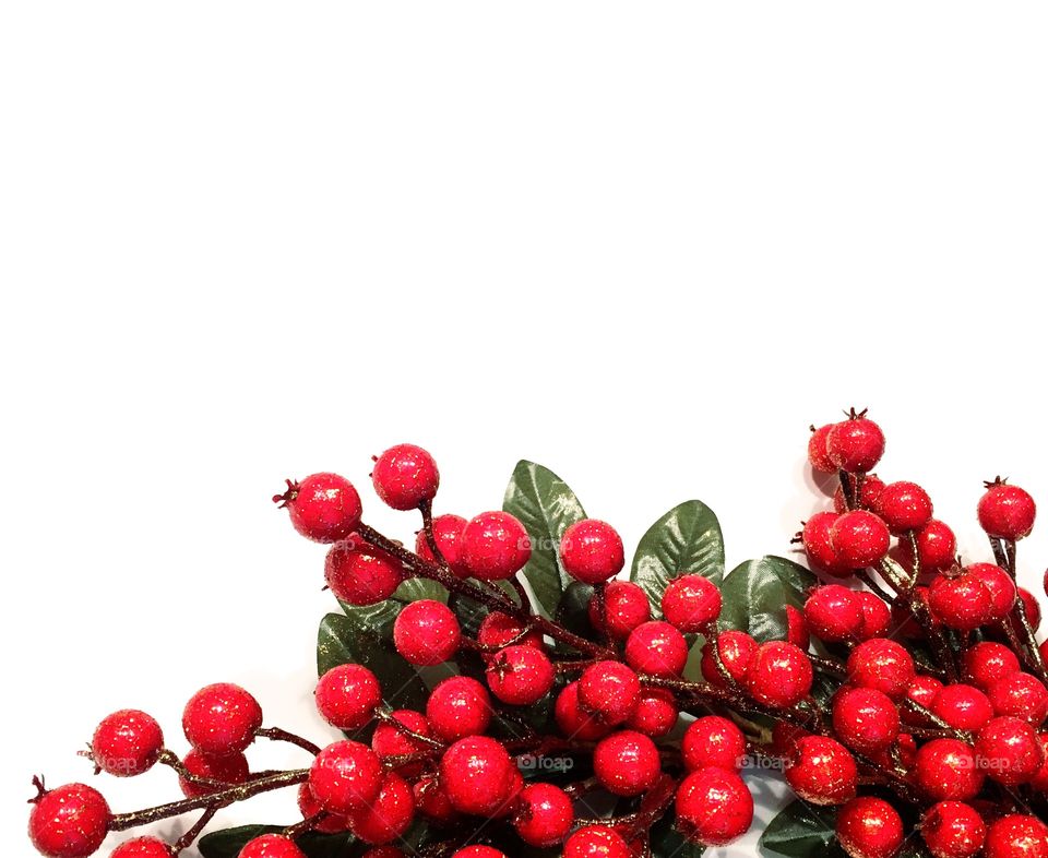 Christmas Berries