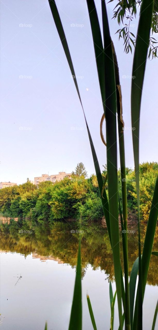 editors Choice photo on the week