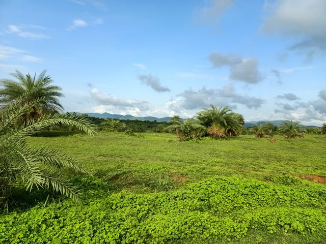 Nature