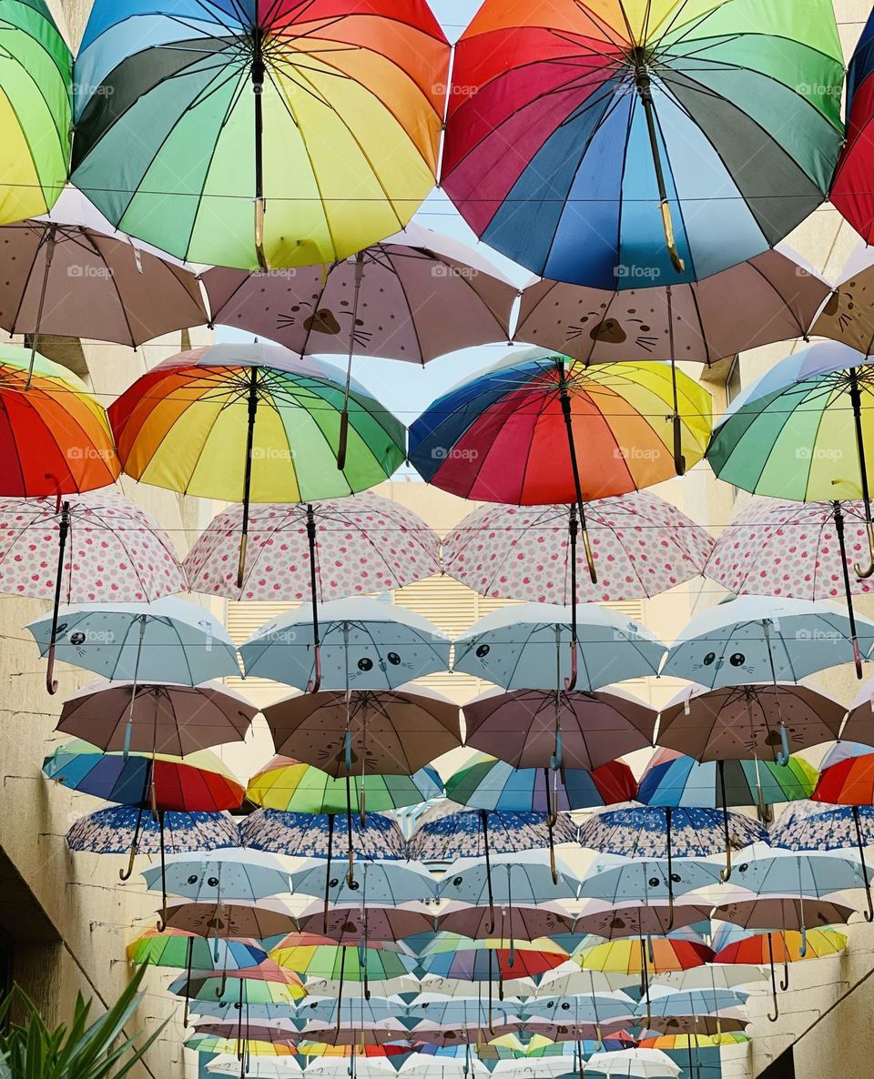 Colored umbrellas in group