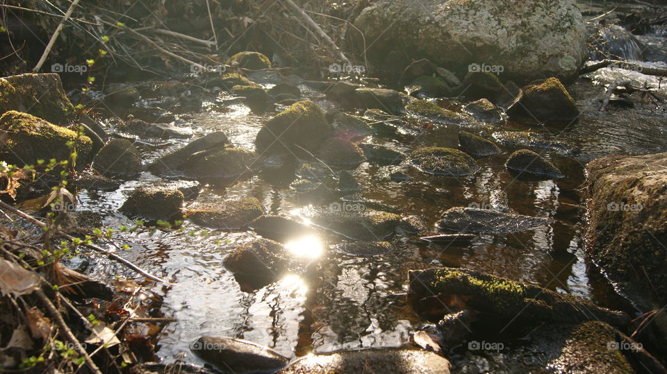 Water, River, No Person, Stream, Nature