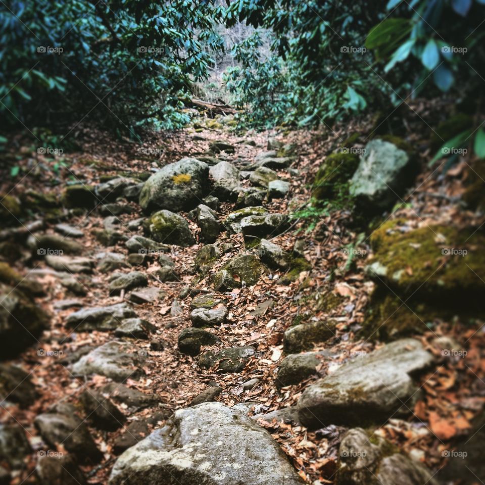 Rocky Trail