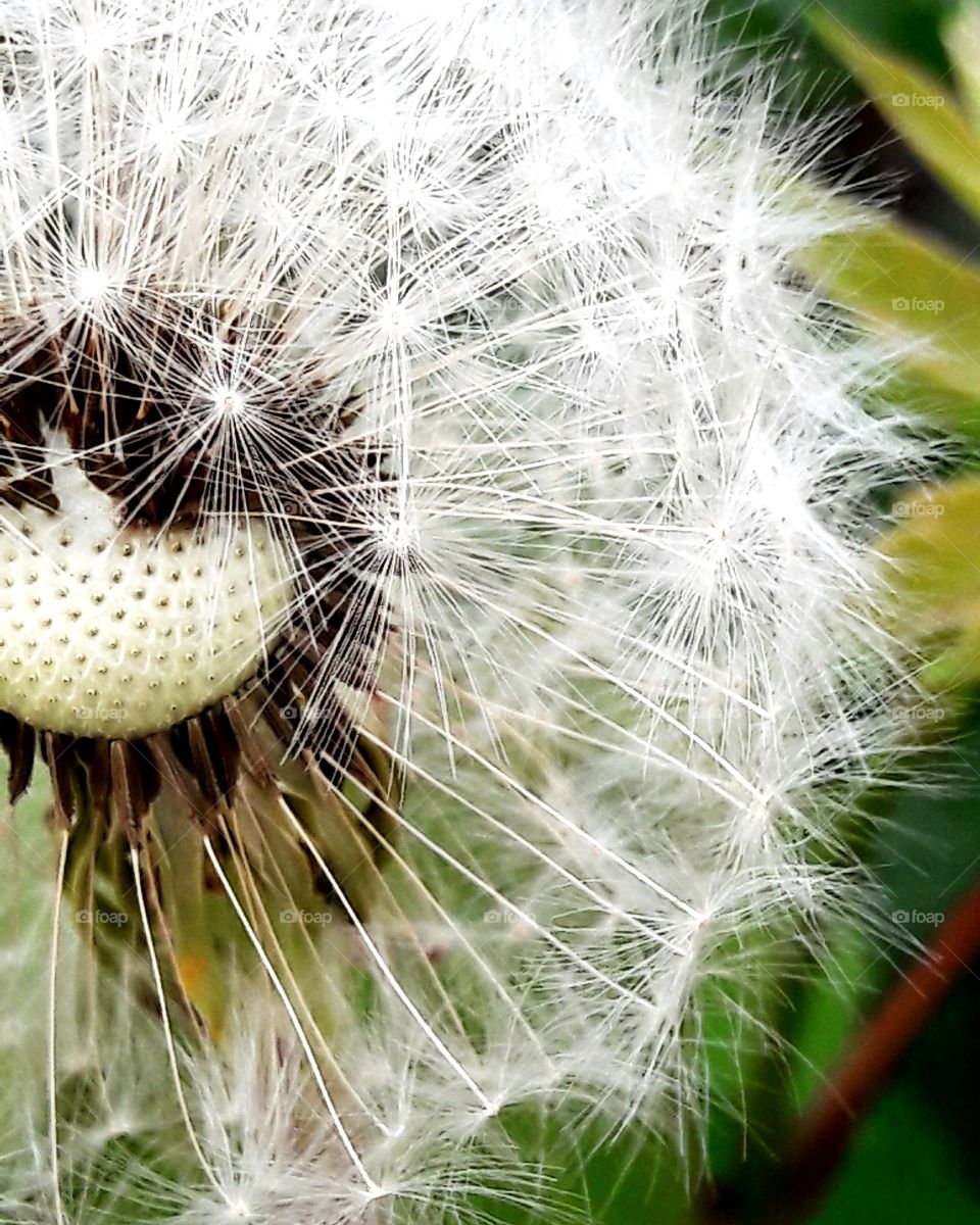 perfect imperfections