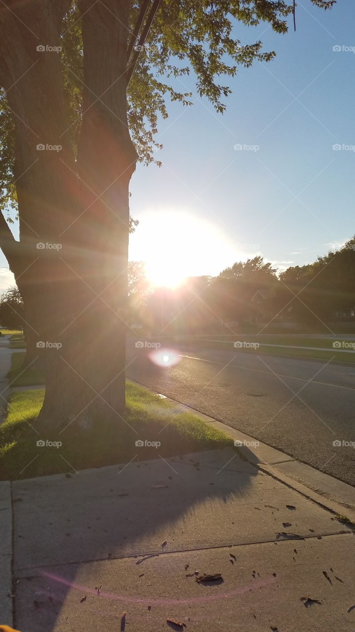 No Person, Dawn, Sunset, Sun, Landscape