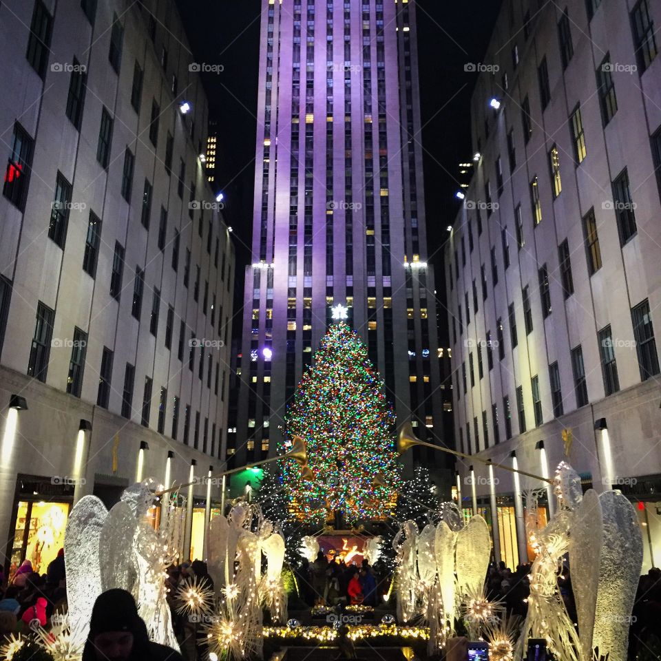 Rockefeller Center Christmas Tree in New York City 