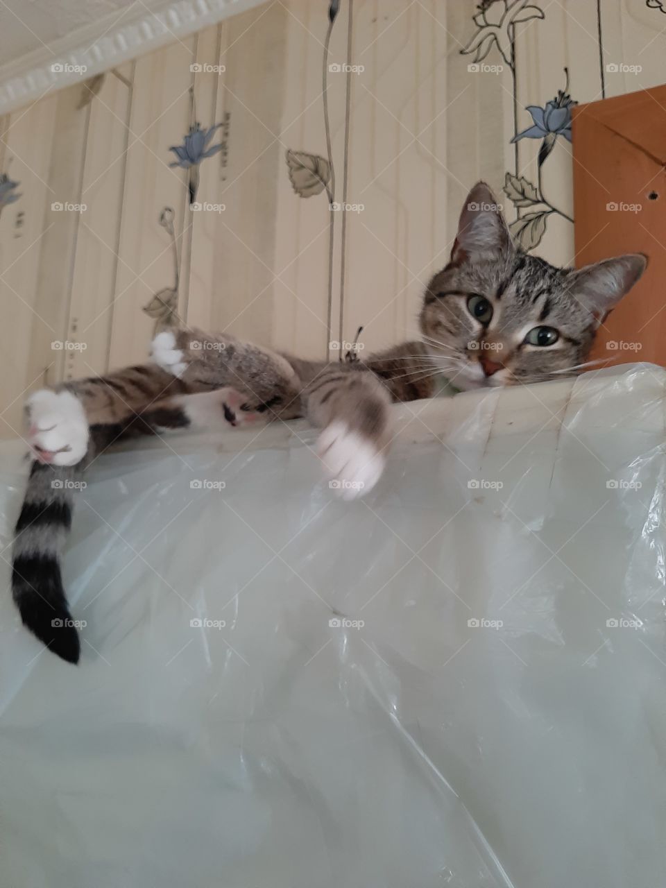 Высоко   гляжу.