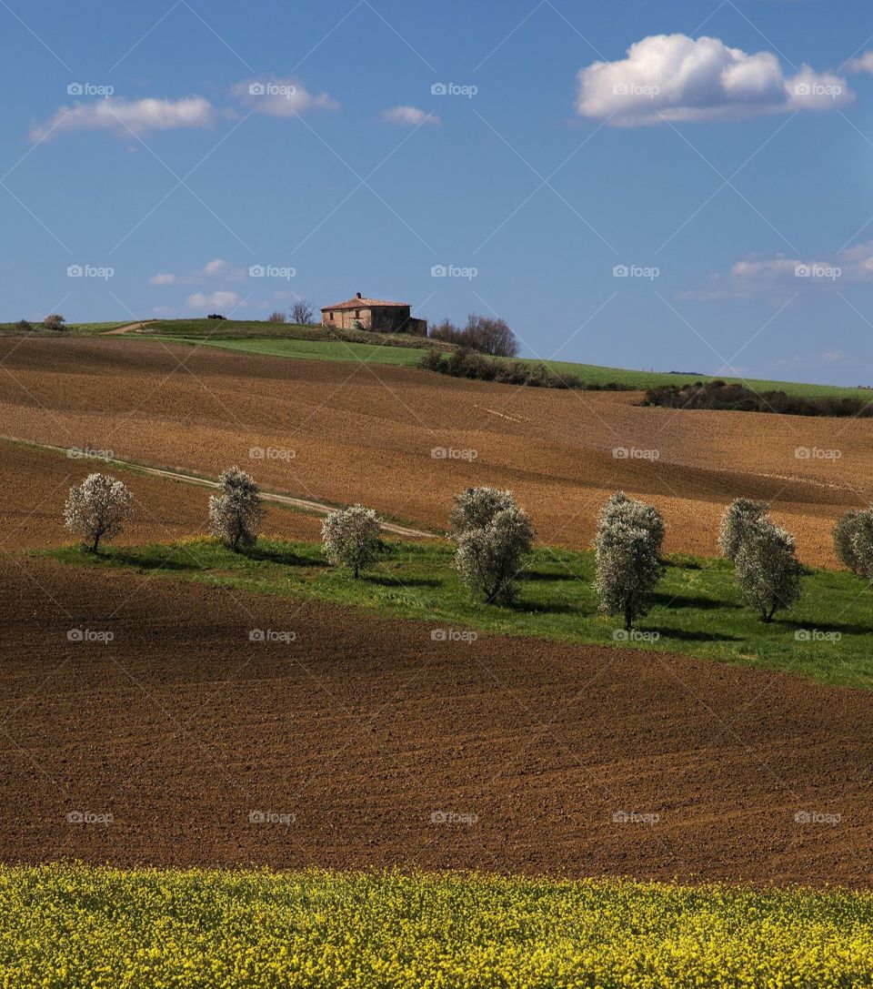 Tuscan countryside 