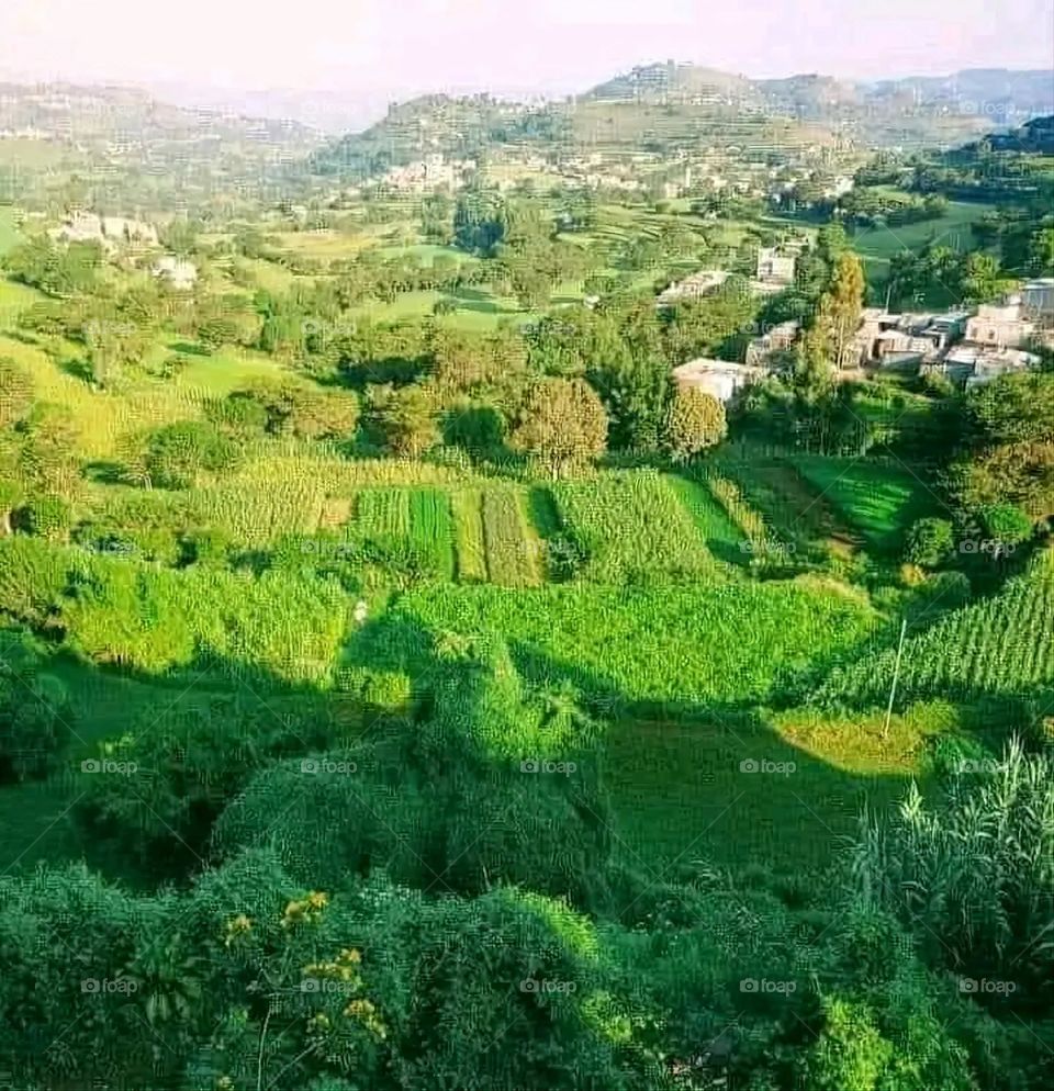 A stunning view of green mountains covered in fog in Yemen