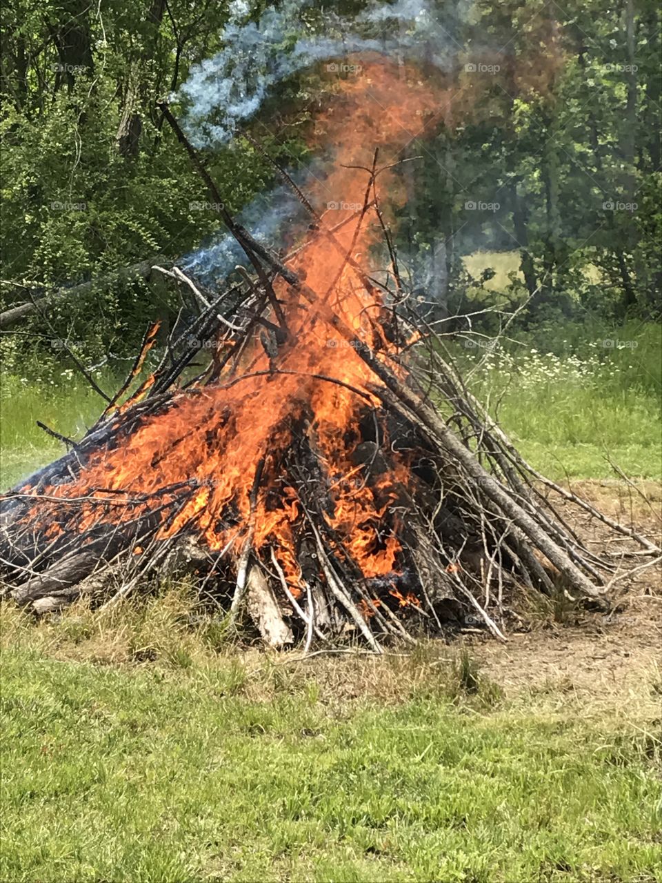 Bonfire during the daytime, with green grass around it and trees in the background.