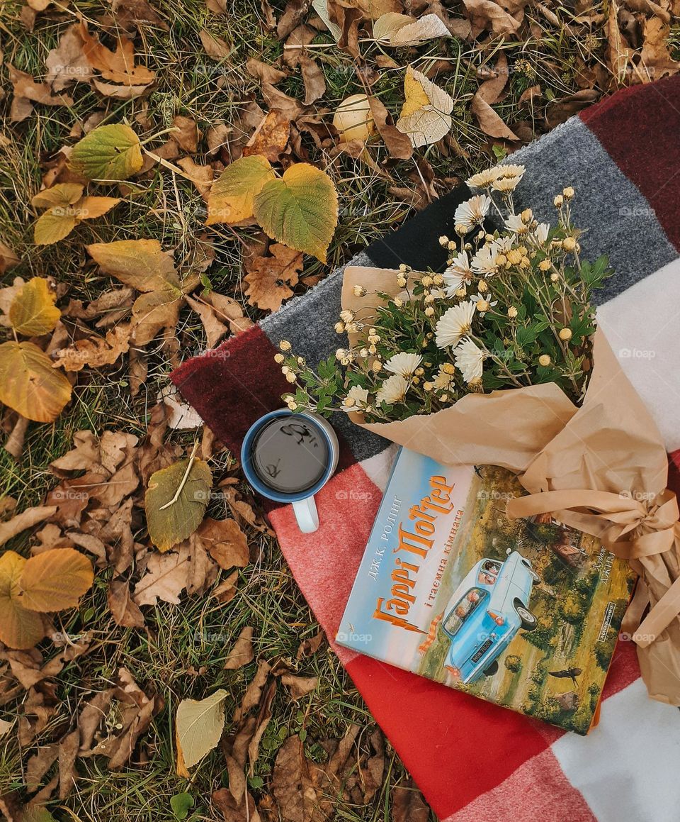 Autumn picnic