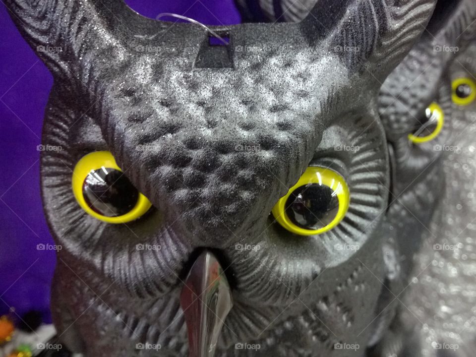 Owl Halloween decoration.