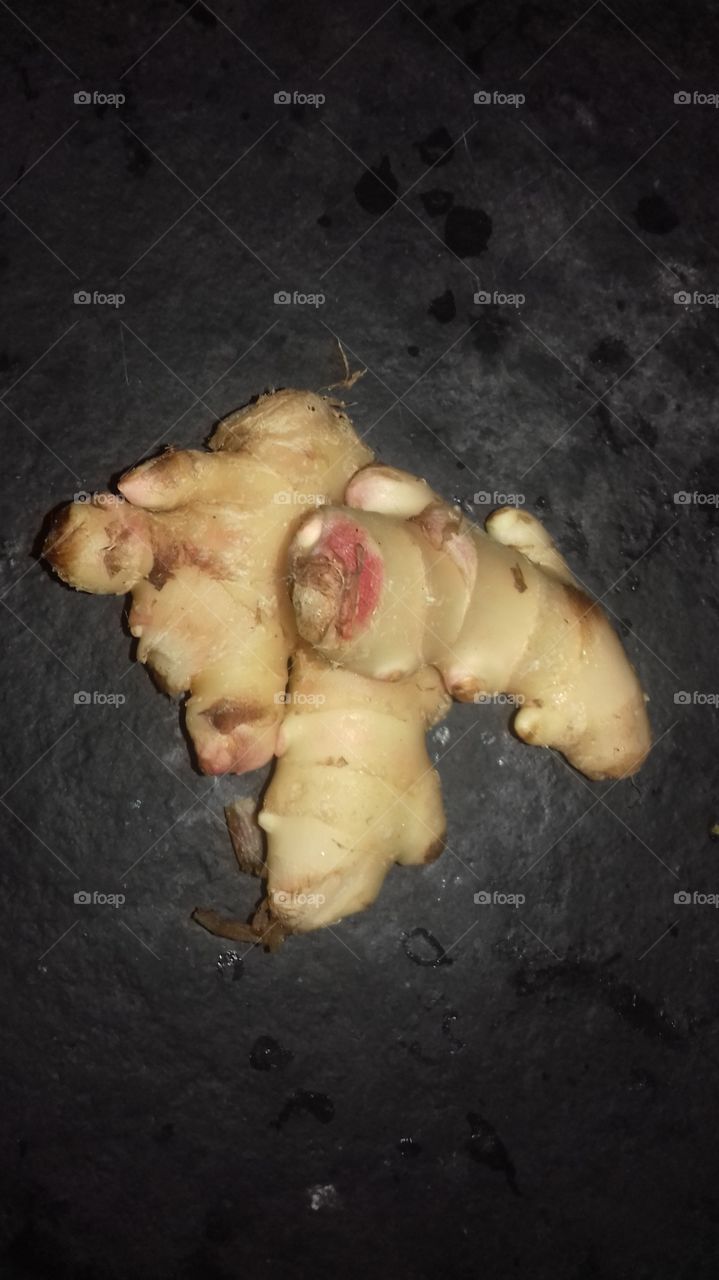 immunity boosting foods