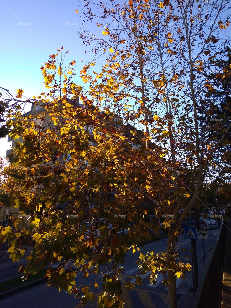 Colors of 2021: Ultimate Gray & Illuminating