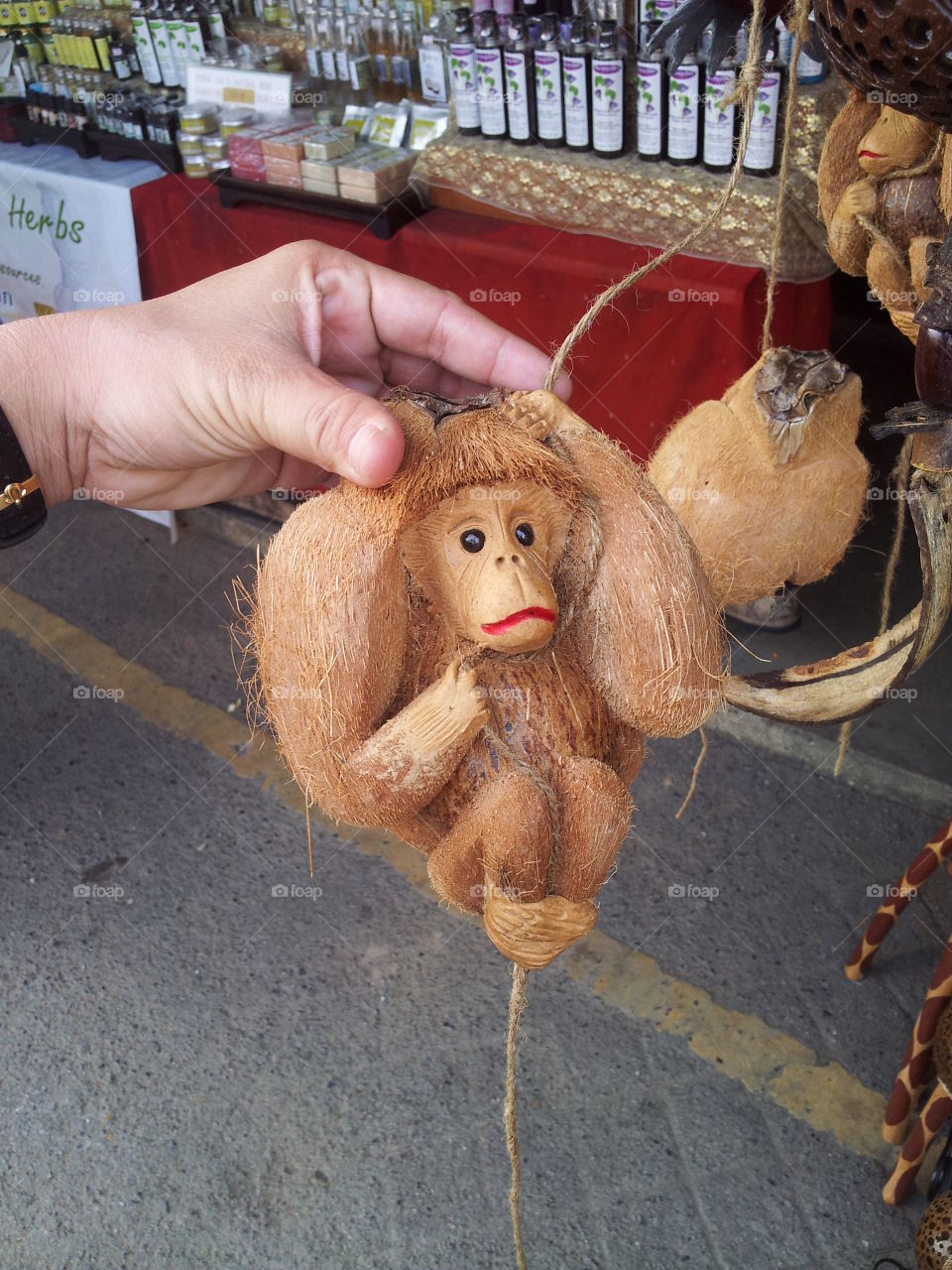 Coconut monkey 
Creative idea everything possible 