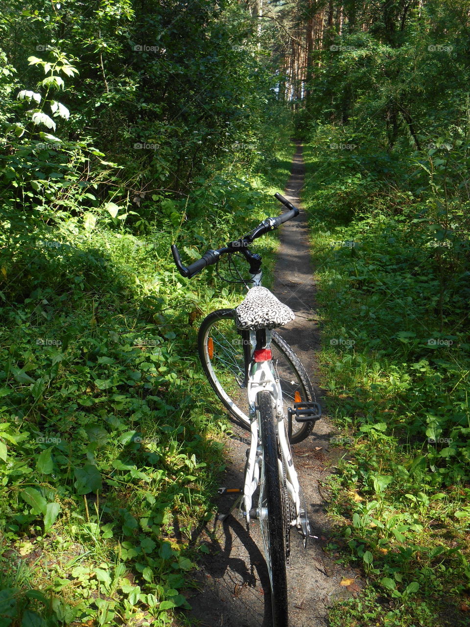 bike in the forest road green background, beautiful sunlight